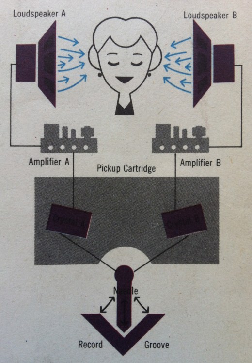 Stereo Diagram Woman